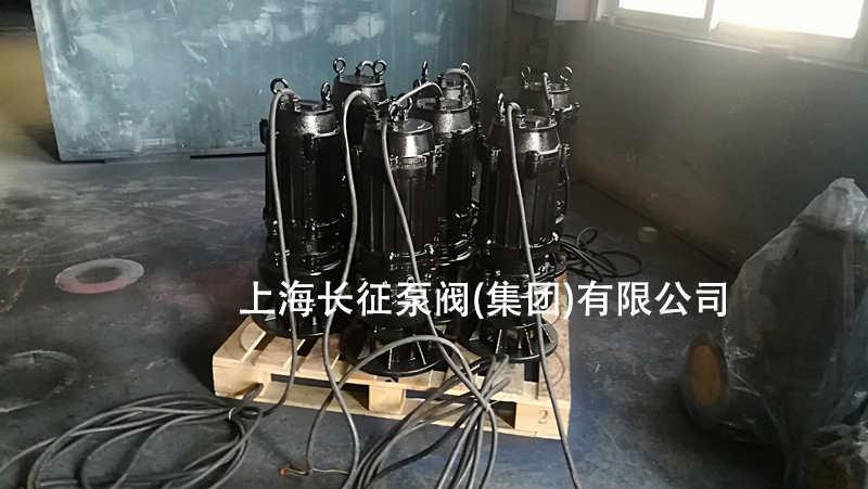 排污泵品牌 排污泵品牌