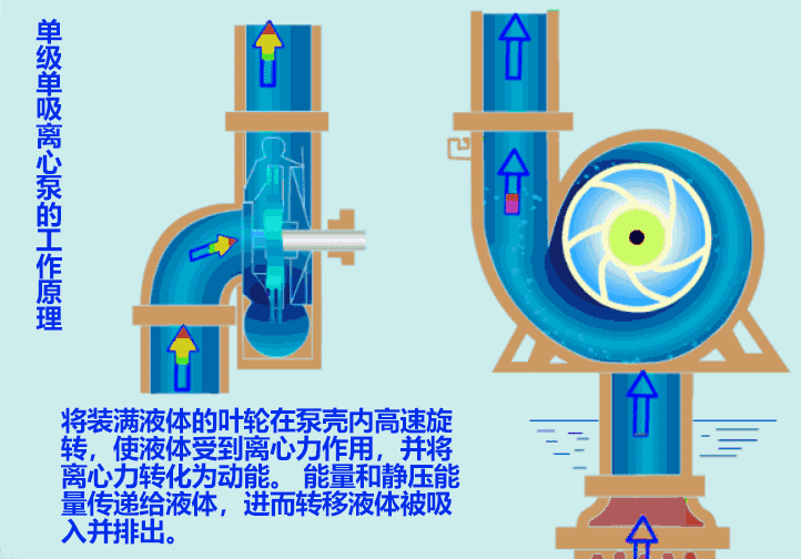 單級單吸離心泵的工作原理圖 單級單吸離心泵的工作原理圖