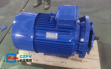 循環水泵離心泵電機 循環水泵離心泵電機