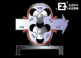 濃漿泵的工作原理圖 濃漿泵的工作原理圖