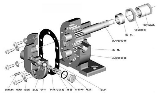 齒輪油泵分解圖 齒輪油泵分解圖