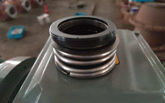 循環水泵機械密封圖 循環水泵機械密封圖