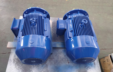 高低溫循環(huán)泵電機(jī) 高低溫循環(huán)泵電機(jī)