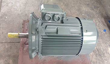 節(jié)能水泵電機 節(jié)能水泵電機