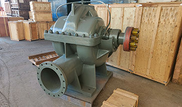 立式雙吸泵 立式雙吸泵