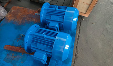 循環(huán)水泵電機(jī) 循環(huán)水泵電機(jī)