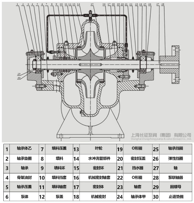 雙吸泵結構圖 雙吸泵結構圖