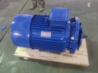 高低溫循環(huán)泵電機(jī) 高低溫循環(huán)泵電機(jī)