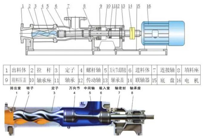 單螺桿泵結構圖 單螺桿泵結構圖